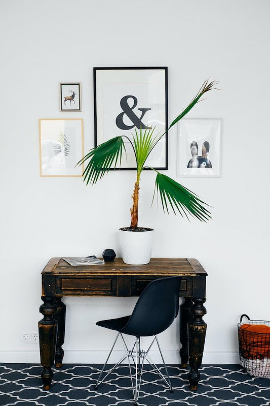 Decorating on a Budget: Smart Tips for Stylish Homes - Home Addition