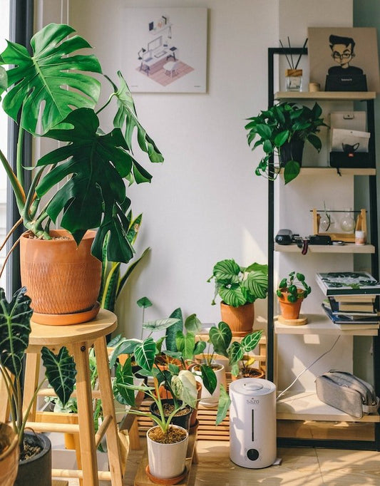 Enhancing Your Home with Greenery - Home Addition